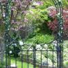 Wedding Arbor decorated